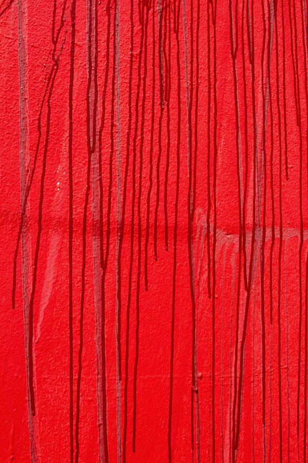 Poliniza_2014_14_116