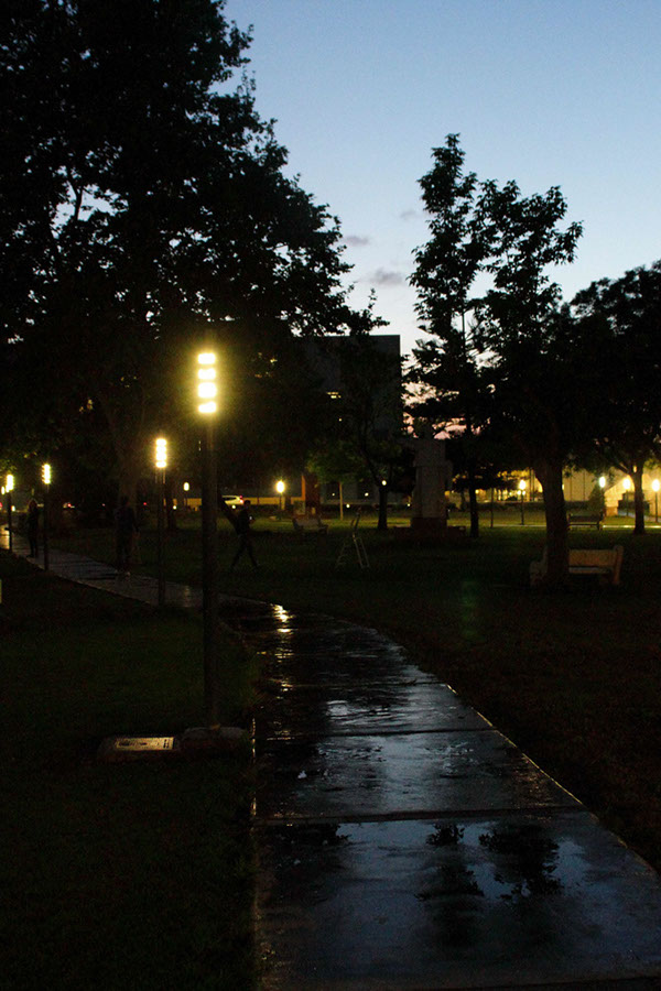 Poliniza_2014_14_237