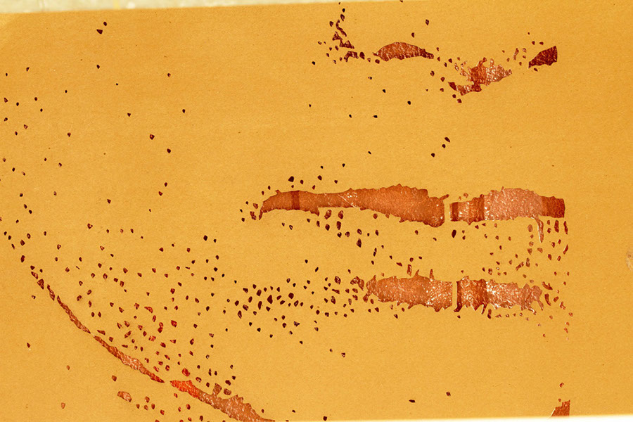 Poliniza_2014_14_012