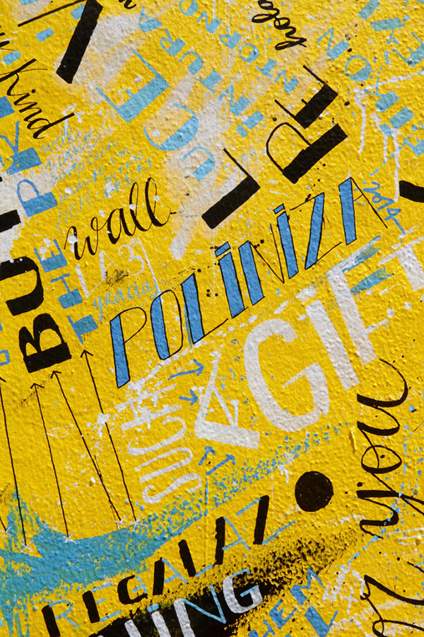 Poliniza_2014_16_092