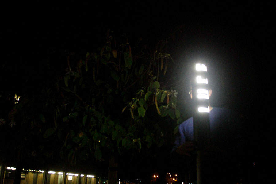 Poliniza_2014_14_246