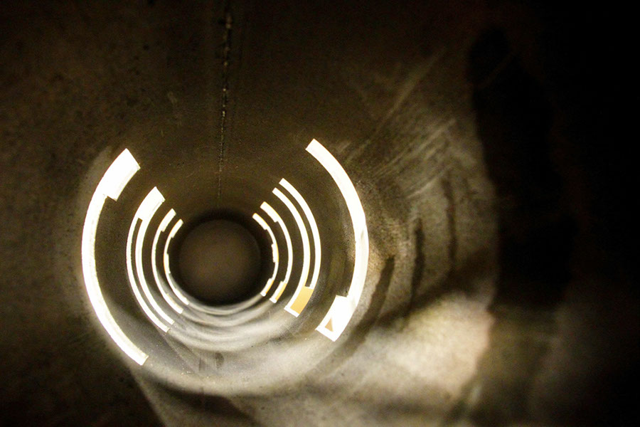 Poliniza_2014_14_245