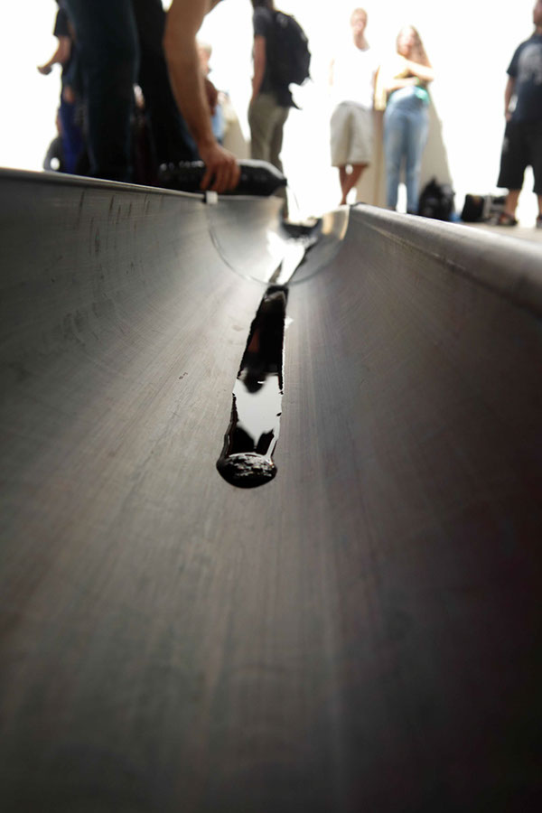 Poliniza_2014_15_085